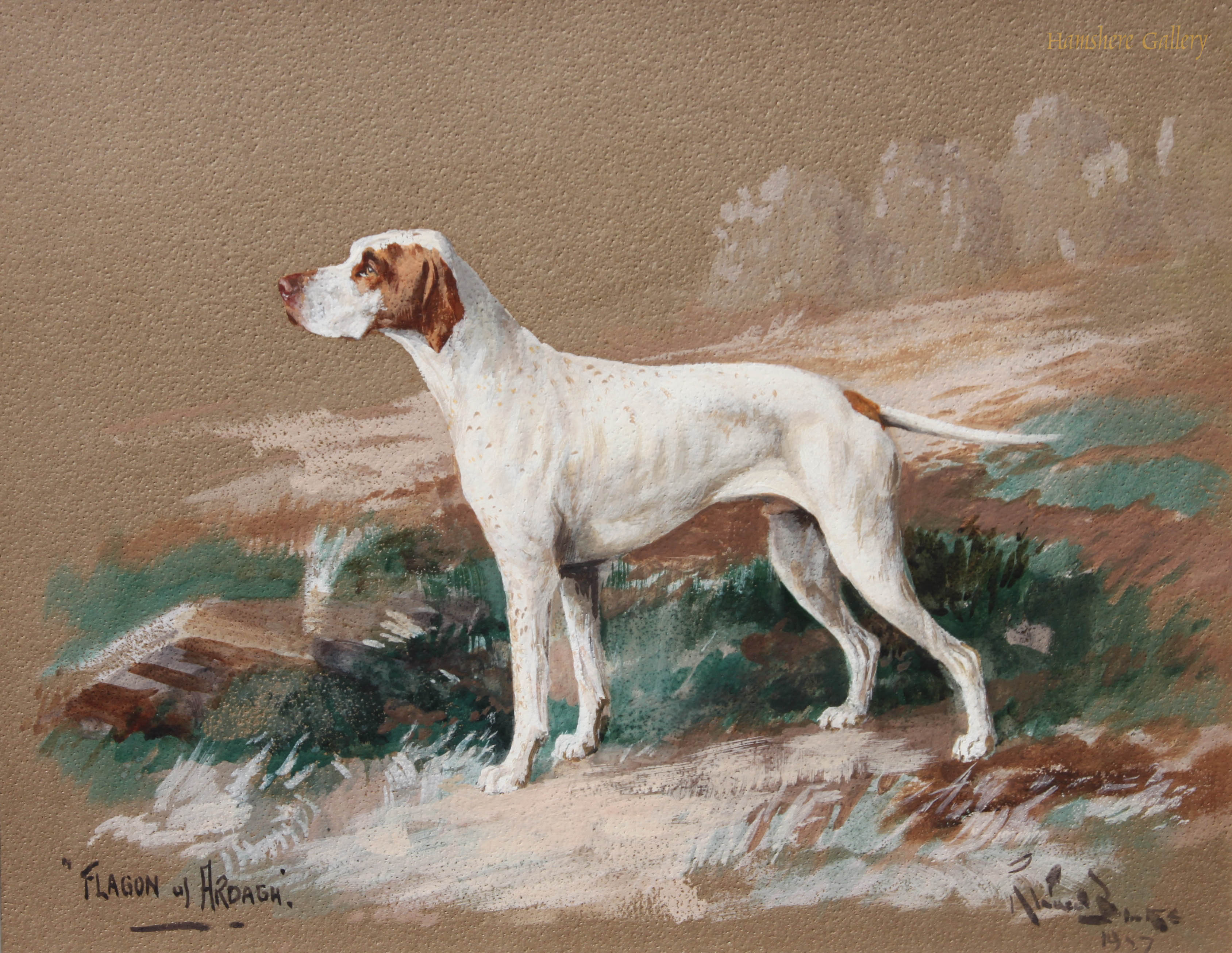 Click to see full size: watercolour and gouache of the English Pointer