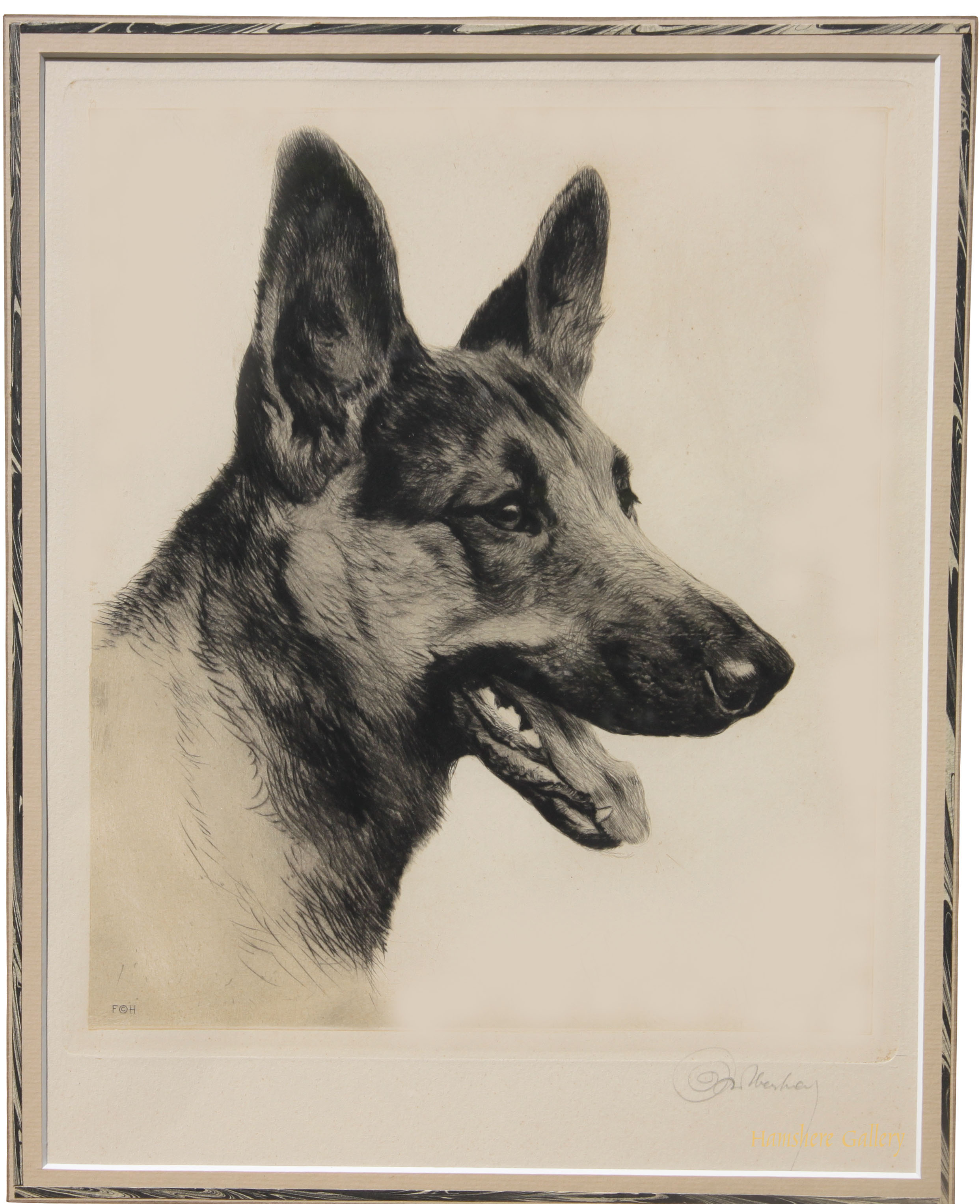 Click for larger image: German Shepherd by Kurt Meyer Eberhardt - German Shepherd by Kurt Meyer Eberhardt