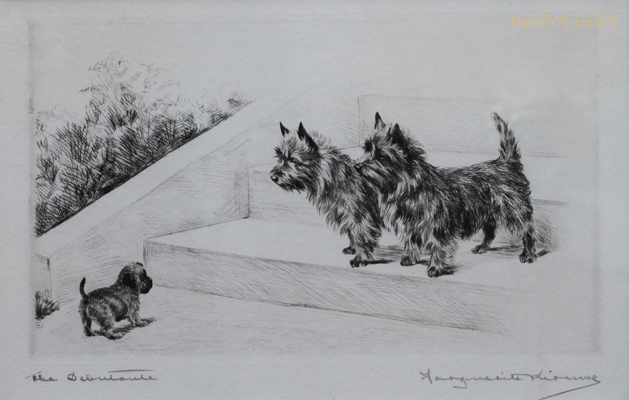 Click to see full size: Cairn Terrier Dry-point etching The Debutanteby Marguerite Kirmse