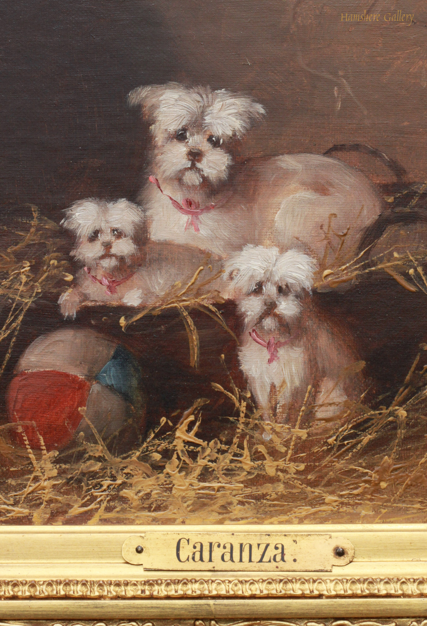 Click for larger image: Oil on canvas of Maltese type by Caranby Jules l Chardigny - Oil on canvas of Maltese type by Caranby Jules l Chardigny