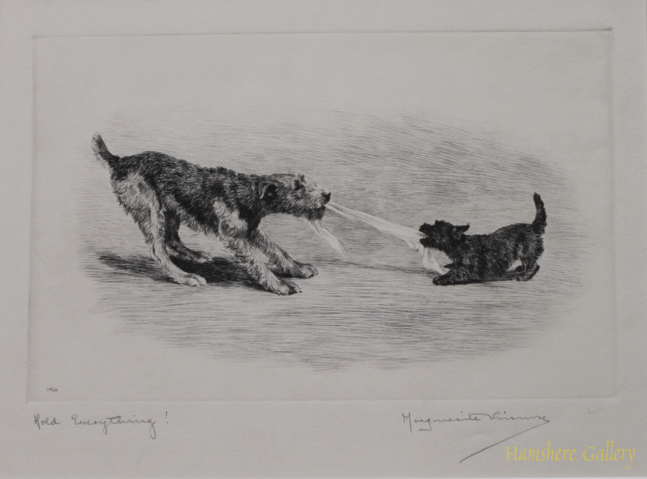 Click for larger image: Airedale and Scottish Terrier dry-point etching Hold Everything by Marguerite Kirmse - Airedale and Scottish Terrier dry-point etching Hold Everything by Marguerite Kirmse