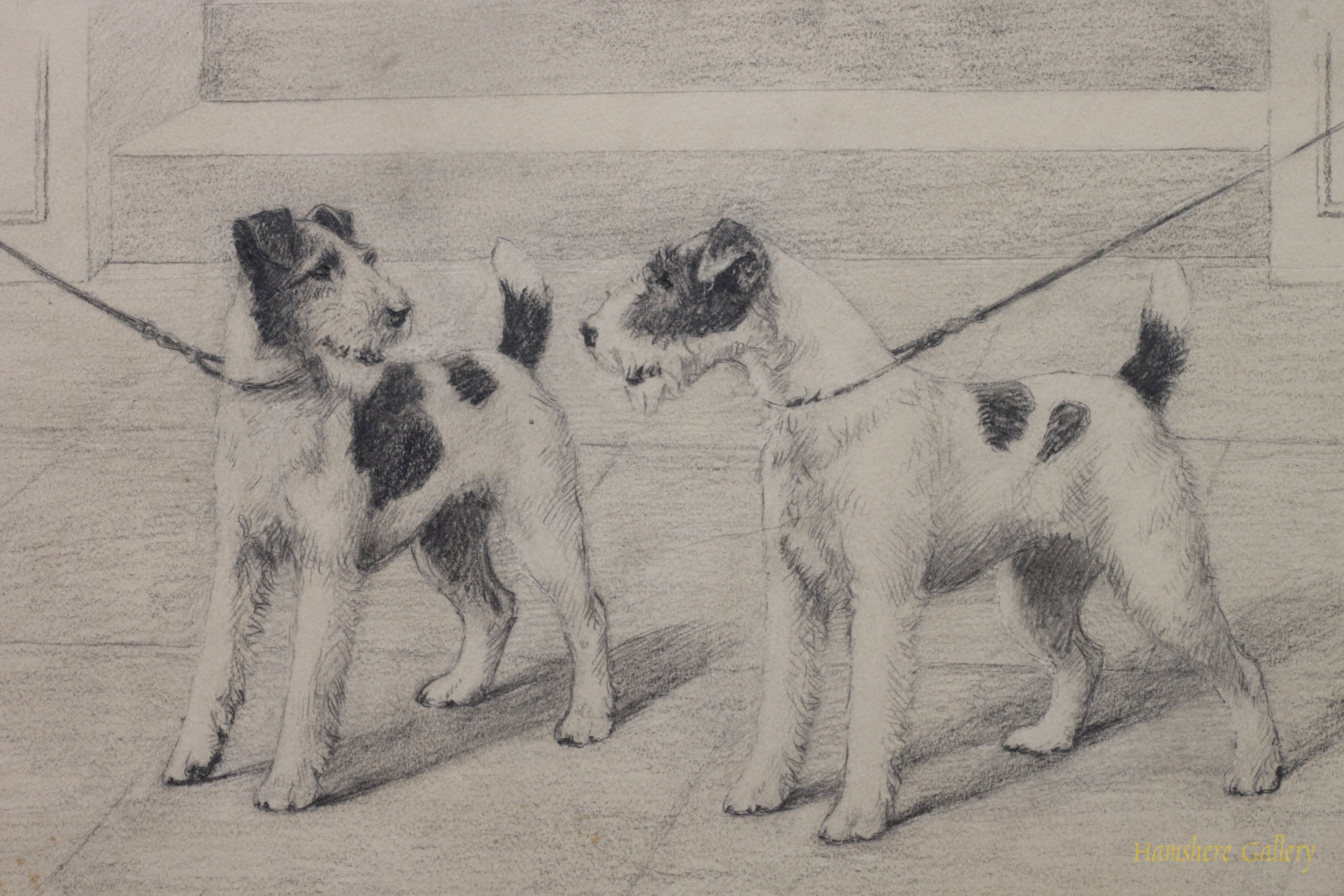 Click for larger image: Fox Terrier pencil drawing And Who Are You by Marguerite Kirmse - Fox Terrier pencil drawing And Who Are You by Marguerite Kirmse