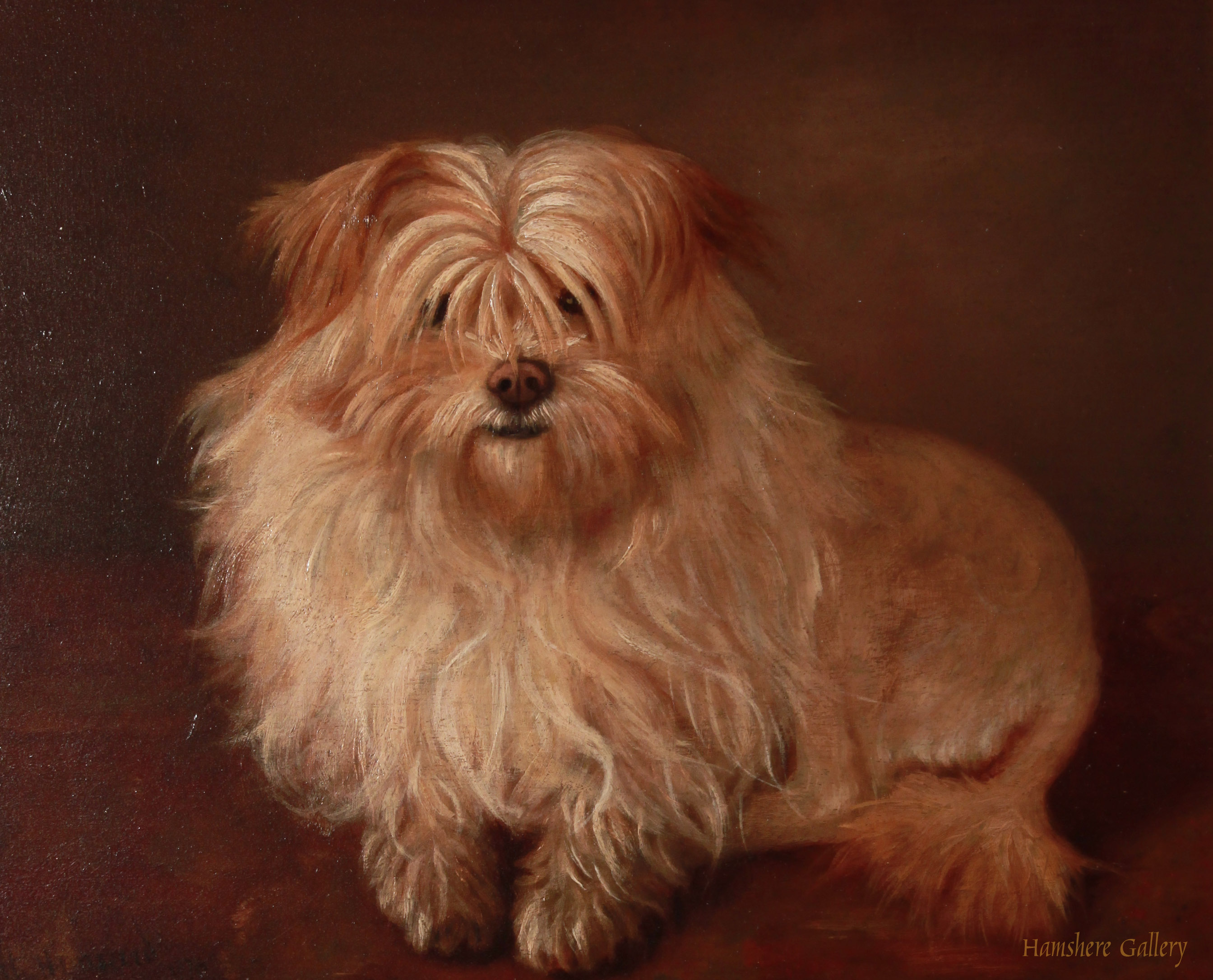 Click to see full size: Terrier by Hubert Henrard