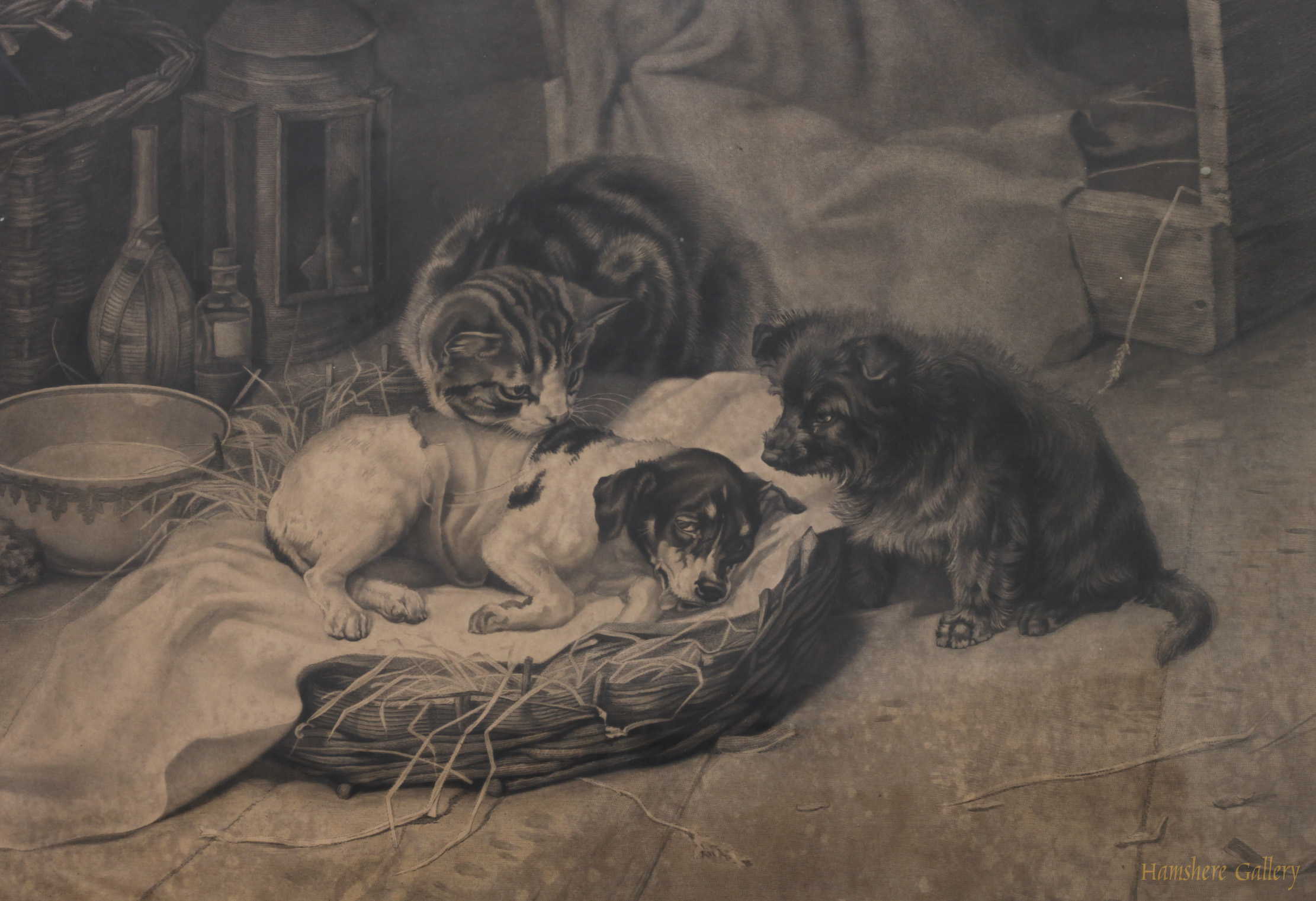 Click to see full size: Mezzotint engraving of Jack Russell / Smooth Fox Terrier, terrier and cat by Samuel Arlent Edwards after William Hamilton Trood 