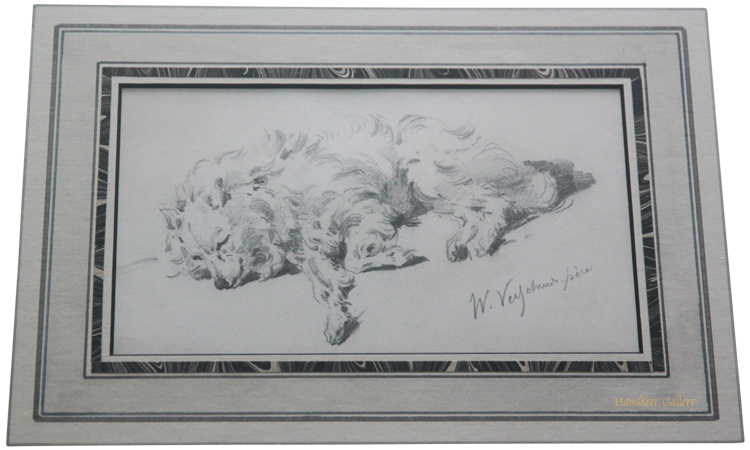 Click for larger image: French mid 19th century graphite drawing of a Spitz by “W. Veych..... père” - French mid 19th century graphite drawing of a Spitz by “W. Veych..... père”