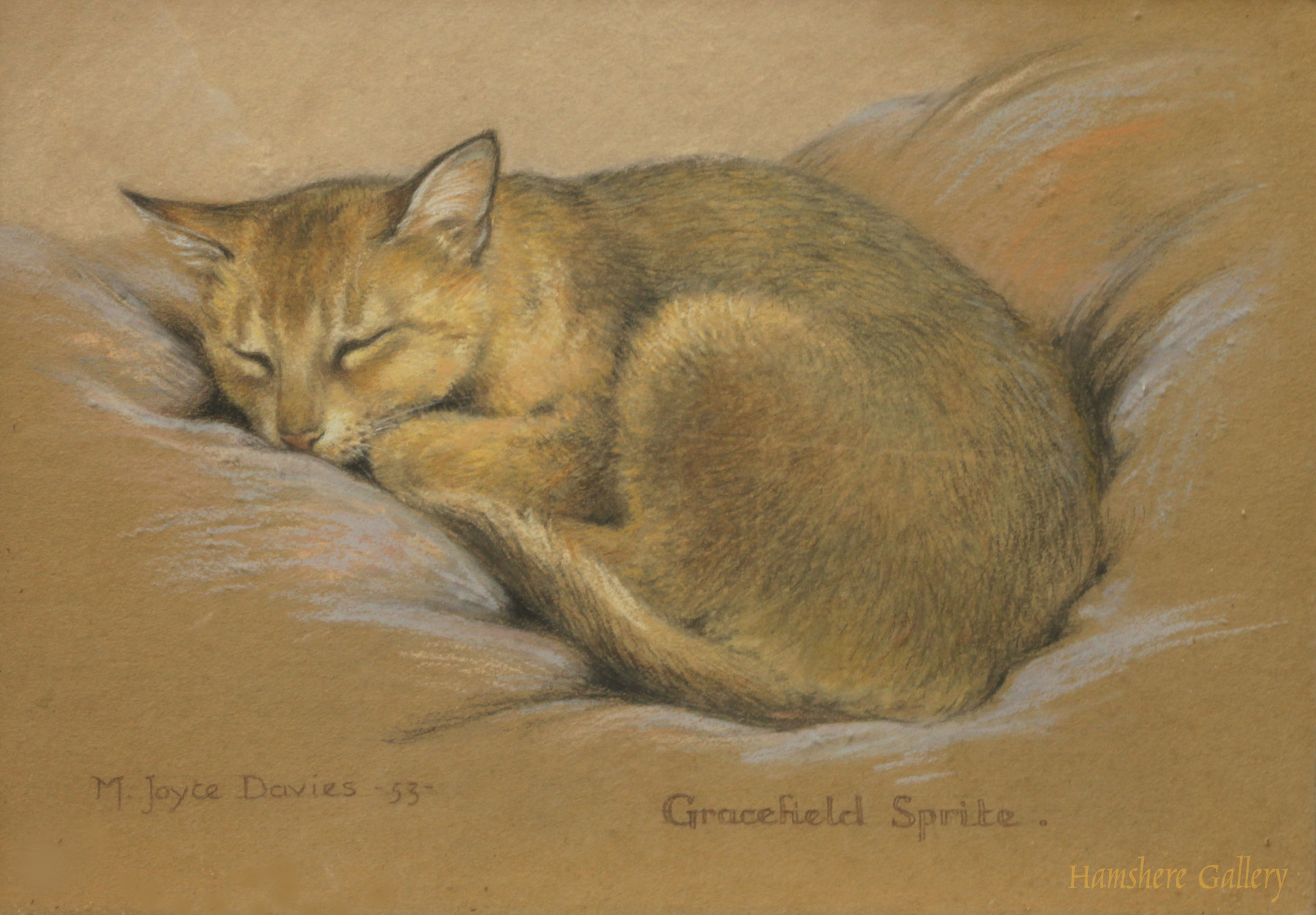 Click to see full size: Cat pastel by M Joyce Davies