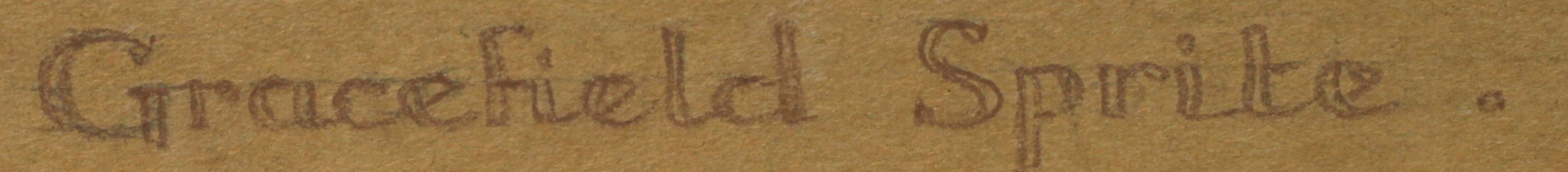 Click for larger image: Cat pastel by M Joyce Davies - Cat pastel by M Joyce Davies