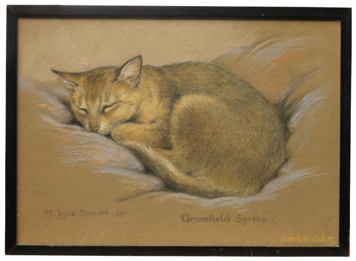 Click for larger image: Cat pastel by M Joyce Davies - Cat pastel by M Joyce Davies