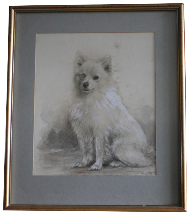 Click for larger image: Pencil drawing with watercolour of a Spitz by Edward William Charlton R.E  (English, 1859-1935)   SOLD - Pencil drawing with watercolour of a Spitz by Edward William Charlton R.E  (English, 1859-1935)   SOLD