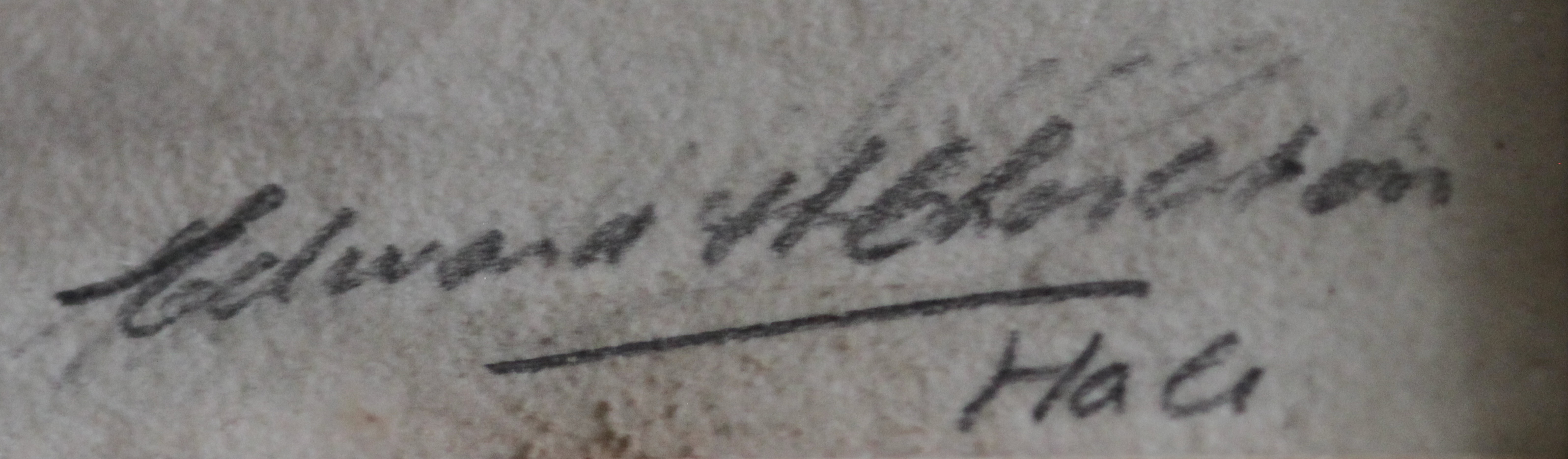 Click for larger image: Pencil drawing with watercolour of a Spitz by Edward William Charlton R.E  (English, 1859-1935)   SOLD - Pencil drawing with watercolour of a Spitz by Edward William Charlton R.E  (English, 1859-1935)   SOLD