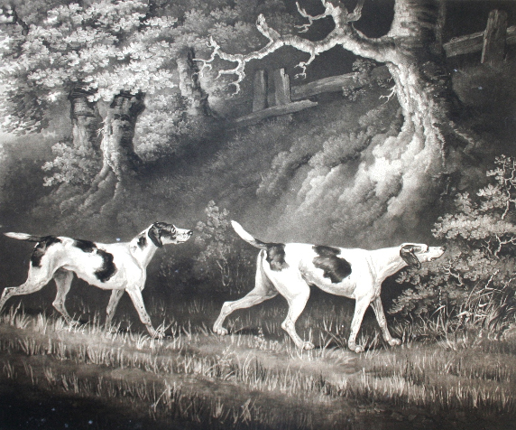 Click to see full size: Mezzotint of “Pointers” by William Ward ARA
