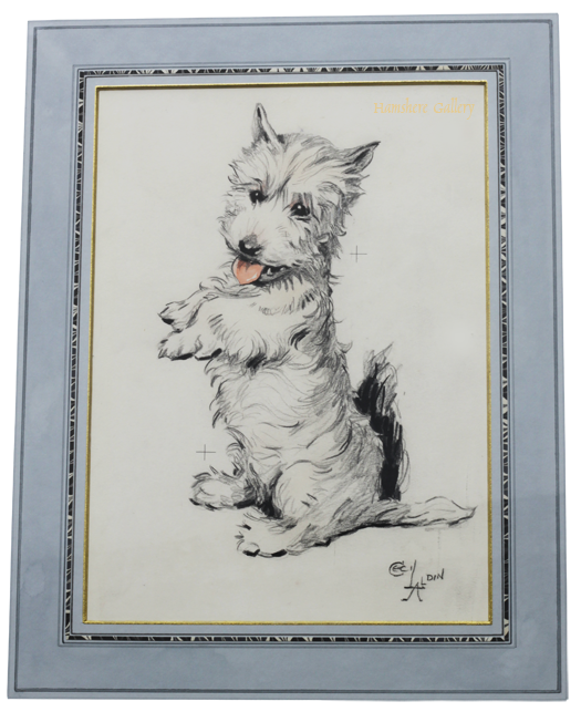 Click for larger image: West Highland Terrier drawing by Cecil Charles Windsor Aldin - West Highland Terrier drawing by Cecil Charles Windsor Aldin