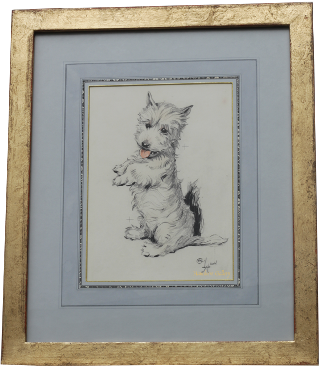 Click for larger image: West Highland Terrier drawing by Cecil Charles Windsor Aldin - West Highland Terrier drawing by Cecil Charles Windsor Aldin