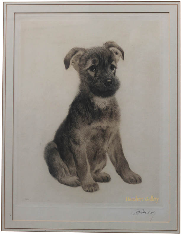 Click for larger image: German Shepherd puppy aquatint dry-point etching by Kurt Meyer Eberhardt - German Shepherd puppy aquatint dry-point etching by Kurt Meyer Eberhardt