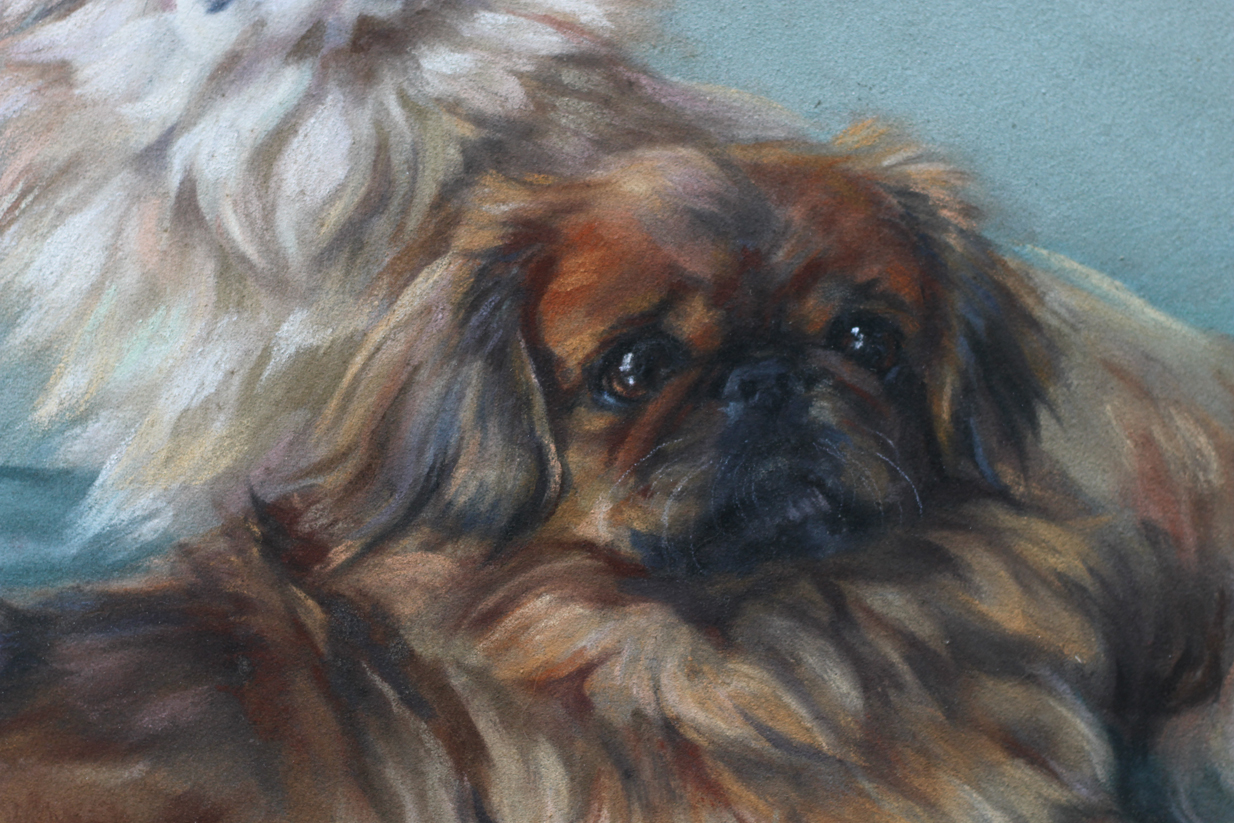 Click for larger image: Pekingese pastel by Persis Kirmse close 2 - Pekingese pastel by Persis Kirmse