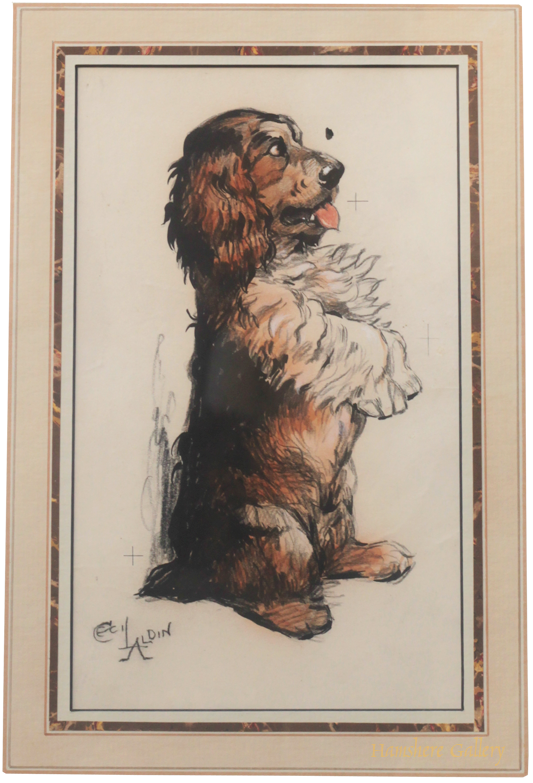 Click for larger image: Cocker Spaniel drawing by Cecil Charles Windsor Aldin RBA - Cocker Spaniel drawing by Cecil Charles Windsor Aldin RBA