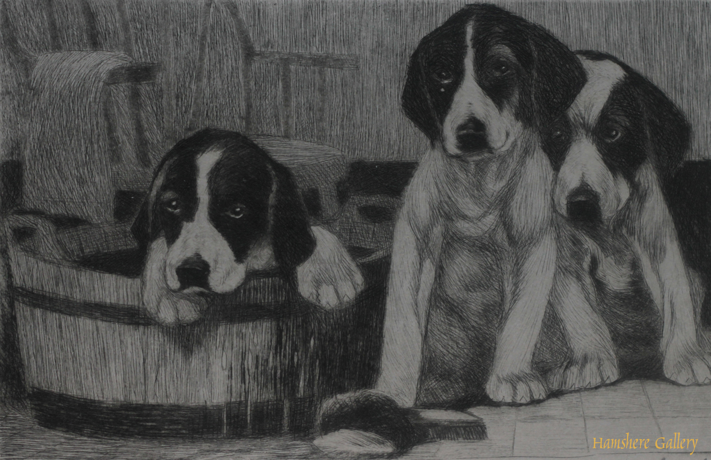 Click for larger image: Limited edition dry-point etching of Foxhound puppies by Bert Cobb (American, 1869- 1935) - Limited edition dry-point etching of Foxhound puppies by Bert Cobb (American, 1869- 1935)