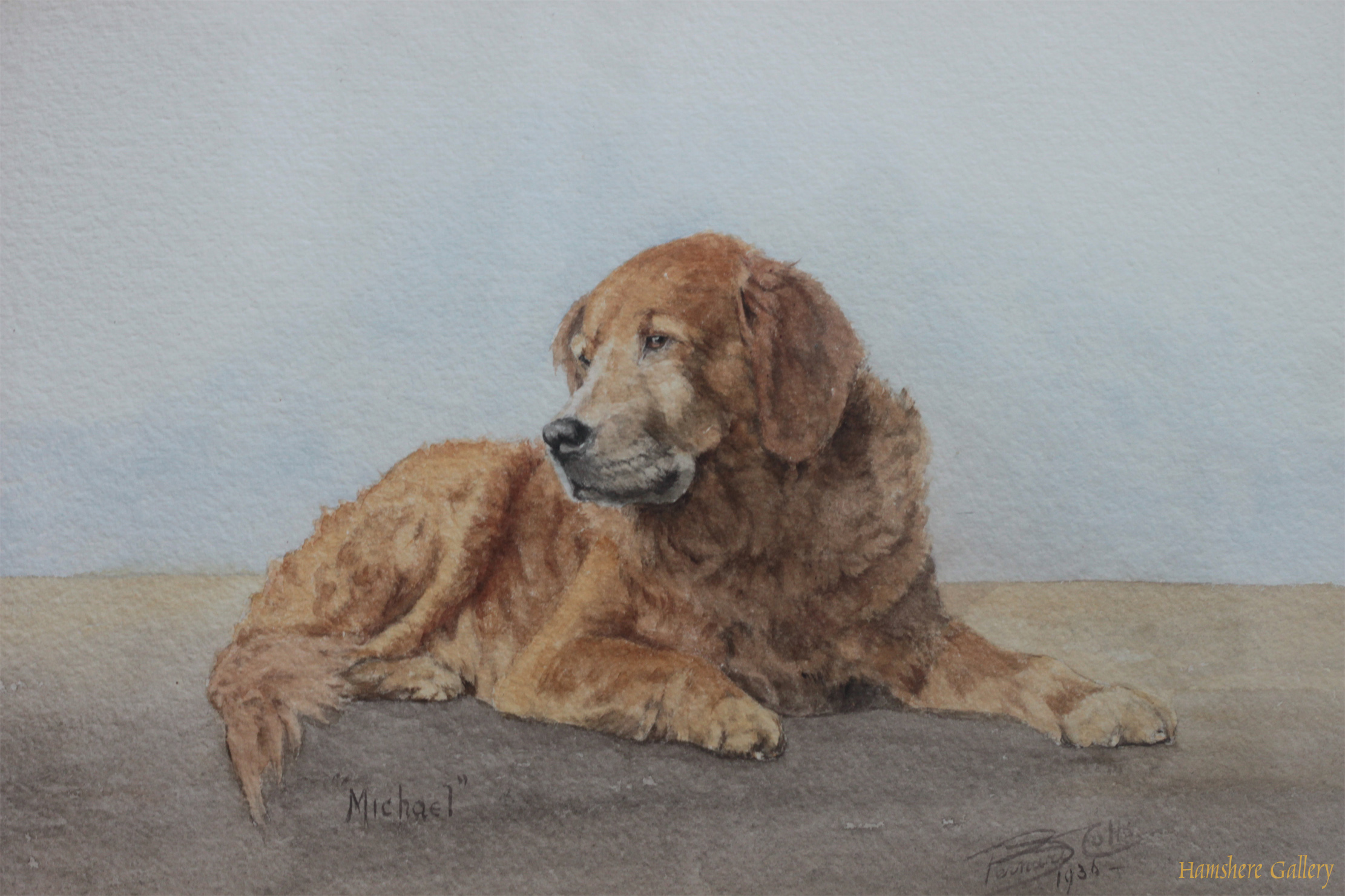 Click to see full size: Golden Retriever watercolour 
