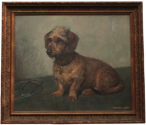 Click for larger image: oil on canvas of a Wire-haired Dachshund - oil on canvas of a Wire-haired Dachshund