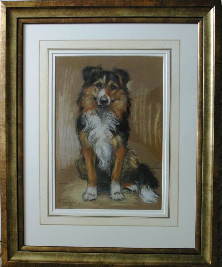 Click for larger image: Collie pastel by Marion Rodger Hamilton Harvey - Collie pastel by Marion Rodger Hamilton Harvey