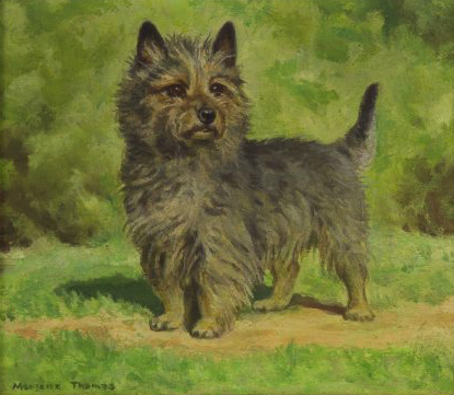 Click to see full size: Cairn Terrier oil by Marjorie Helen Holmes Thomas 