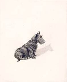 Click to see full size: Scottish Terrier dry-point etching “Me and My Shadow” by Marguerite Kirmse