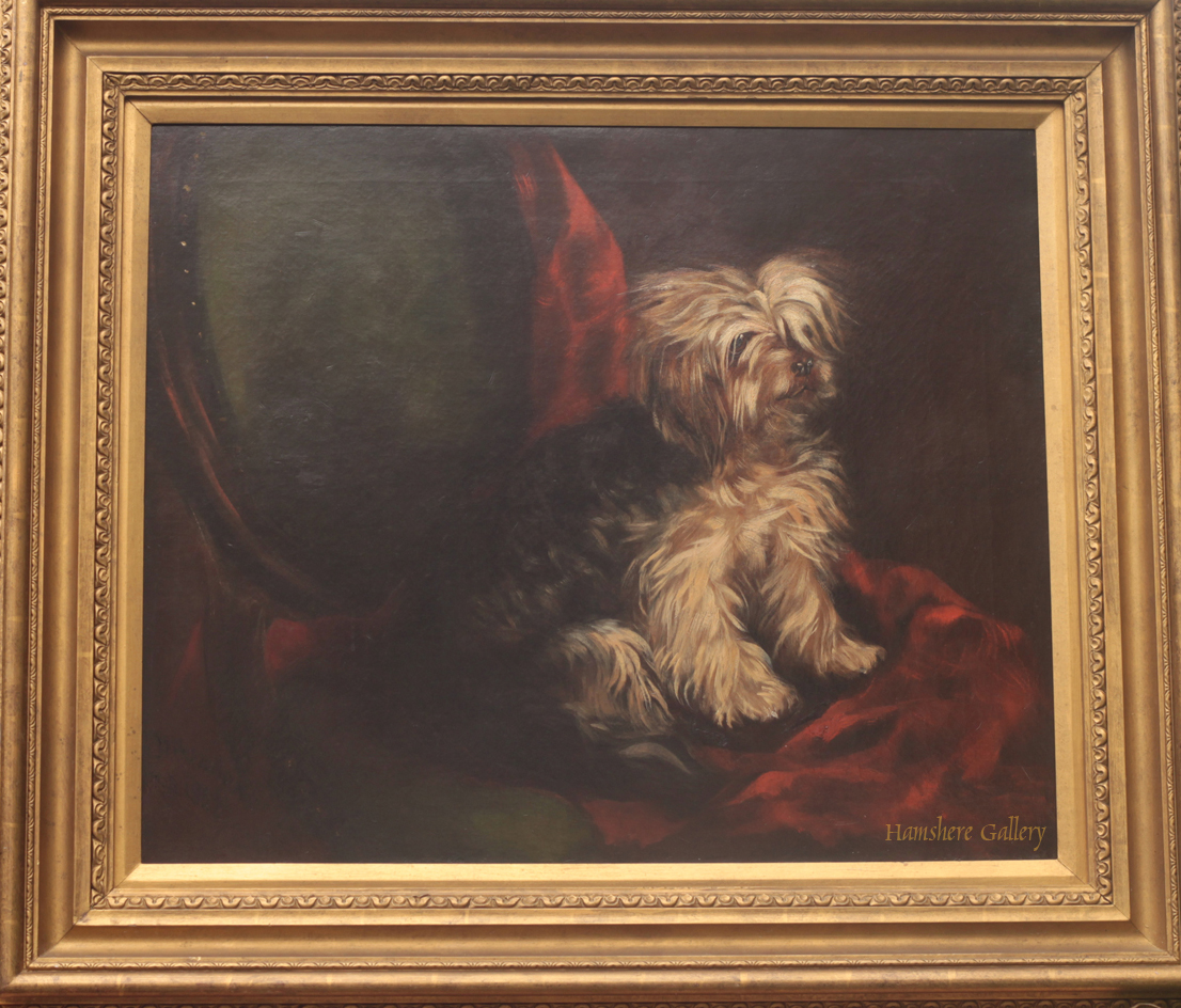 Click to see full size: Oil on canvas of a Terrier on chair by William Wreford Major- Oil on canvas of a Terrier on chair by William Wreford Major