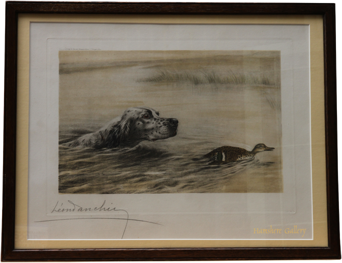 Click for larger image: English Setter chasing an Eider etching by Leon Danchin - English Setter chasing an Eider etching by Leon Danchin