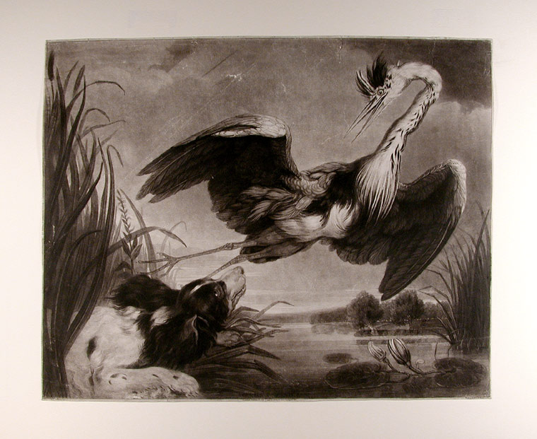 Click for larger image: Mezzotint of Spaniel / Setter and Heron by Samuel William Reynolds (English, 1773 – 13 August 1835) after James Northcote RA - Mezzotint of Spaniel / Setter and Heron by Samuel William Reynolds (English, 1773 – 13 August 1835) after James Northcote RA