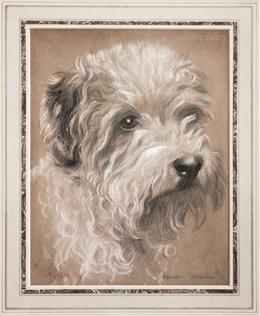 Click for larger image: The Dandie Dinmont “Bonny” drawing by Morgan Dennis (American, 1892-1960) - The Dandie Dinmont “Bonny” drawing by Morgan Dennis (American, 1892-1960)