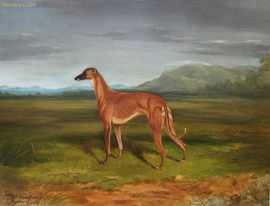 Click to see full size: Oil on canvas of the celebrated Greyhound 