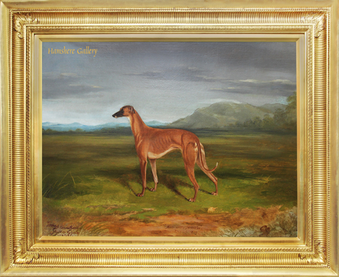 Click for larger image: Oil on canvas of the celebrated Greyhound  - Oil on canvas of the celebrated Greyhound 
