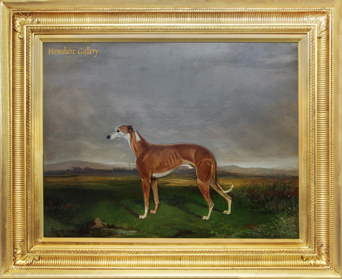 Click for larger image: Oil on canvas of the celebrated Greyhound