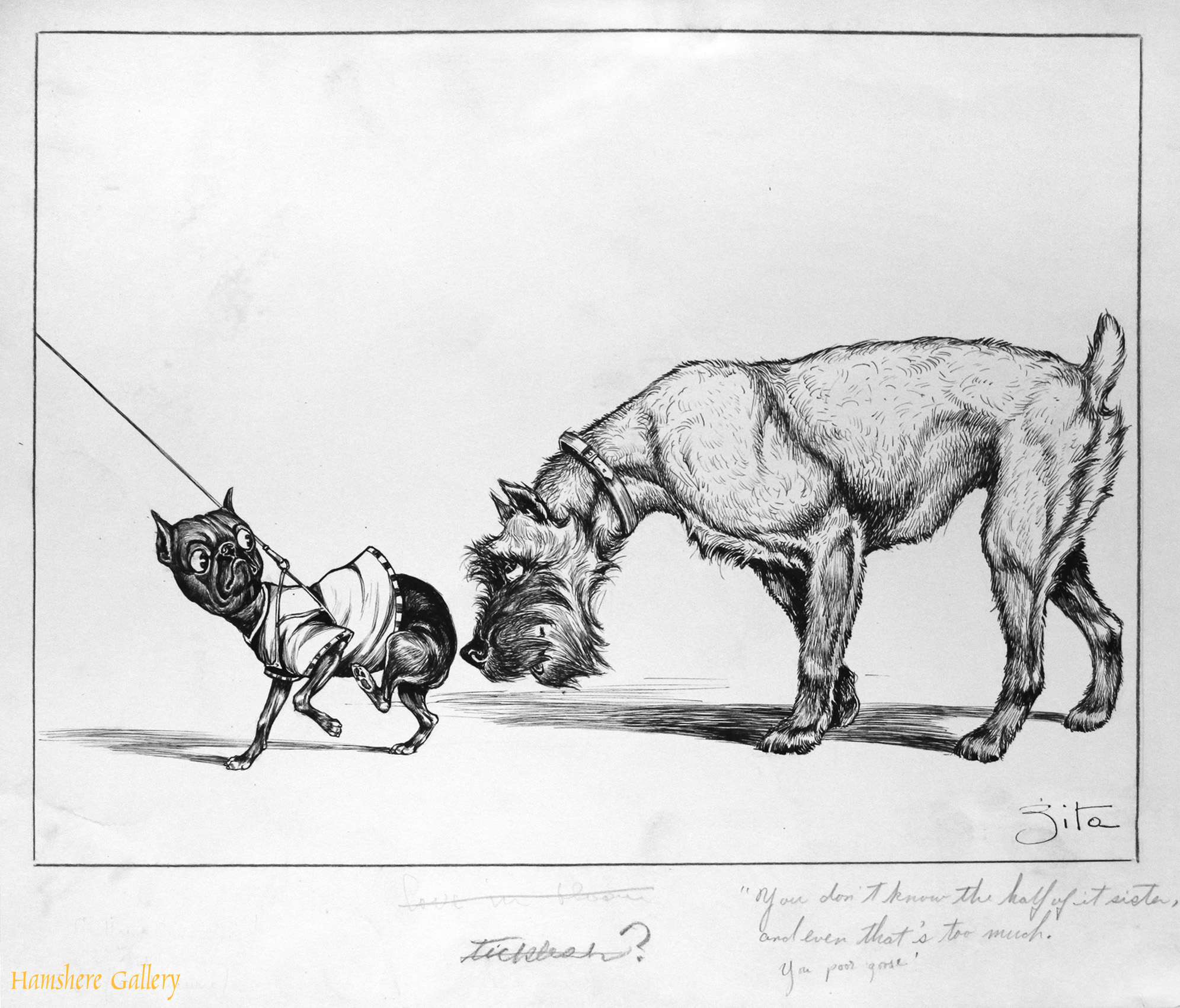 Click for larger image:   A circa 1930’s pen and ink humorous canine dog / Schnauzer cartoon drawing by Vincenzo (Vincent) Maria Zito (European/American 1900-1966) -  <br />
A circa 1930’s pen and ink humorous canine dog / Schnauzer cartoon drawing by Vincenzo (Vincent) Maria Zito (European/American 1900-1966)