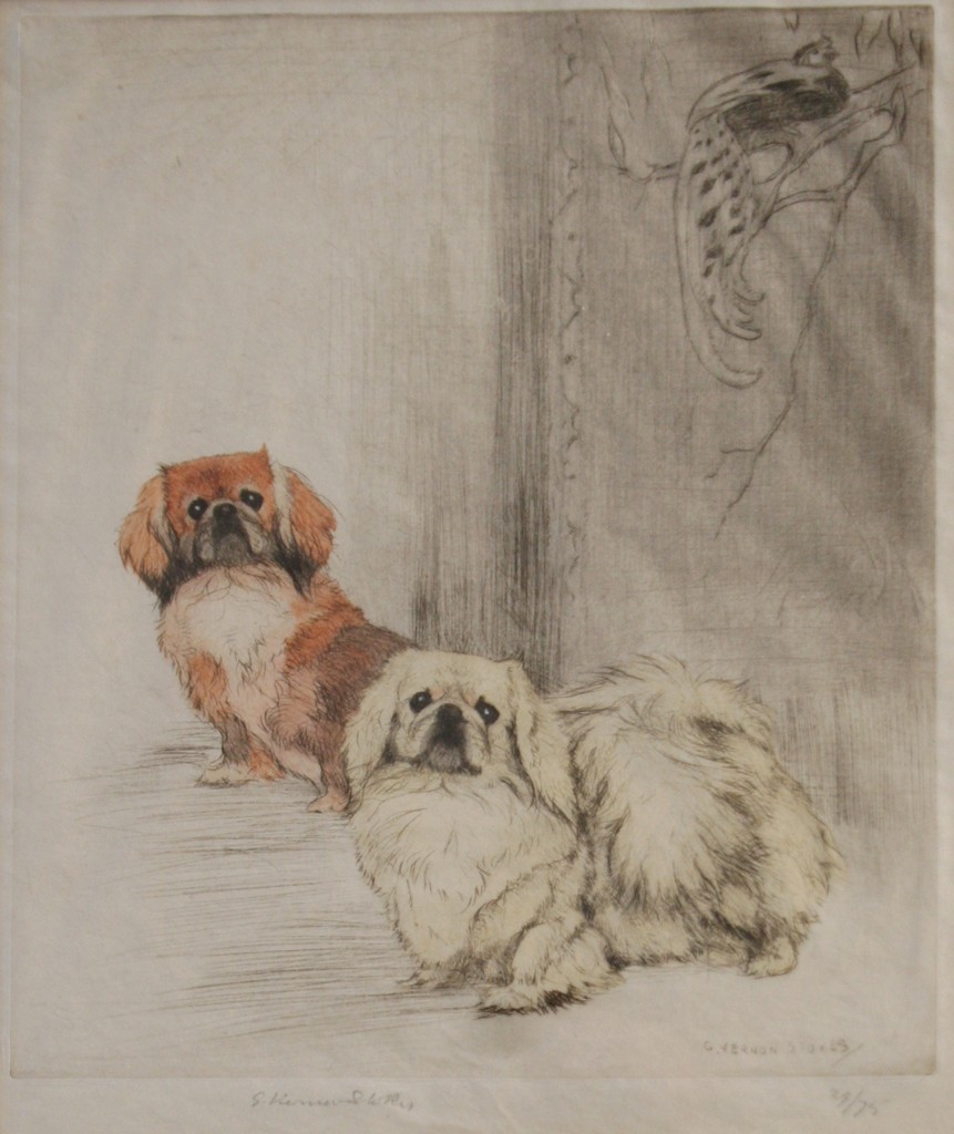 Click to see full size: Pekingese etching by George Vernon Stokes RA