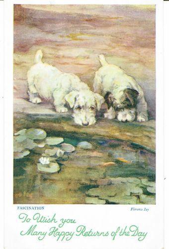 Click for larger image: 