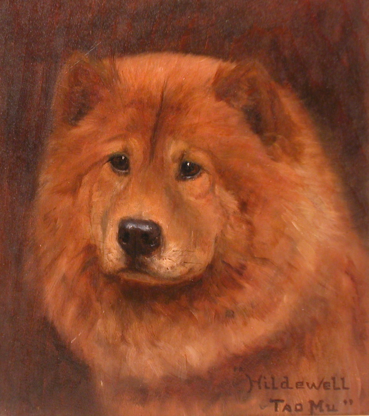 Click to see full size: Chow Chow by Monica Gray