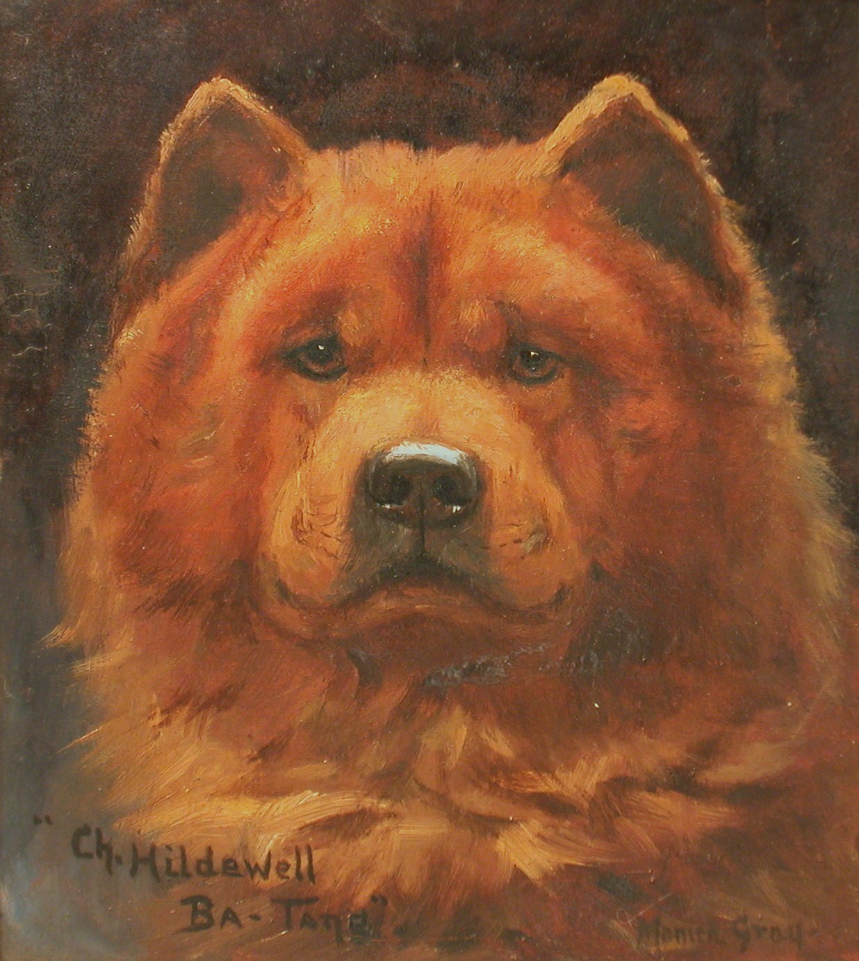 Click to see full size: Chow Chow 