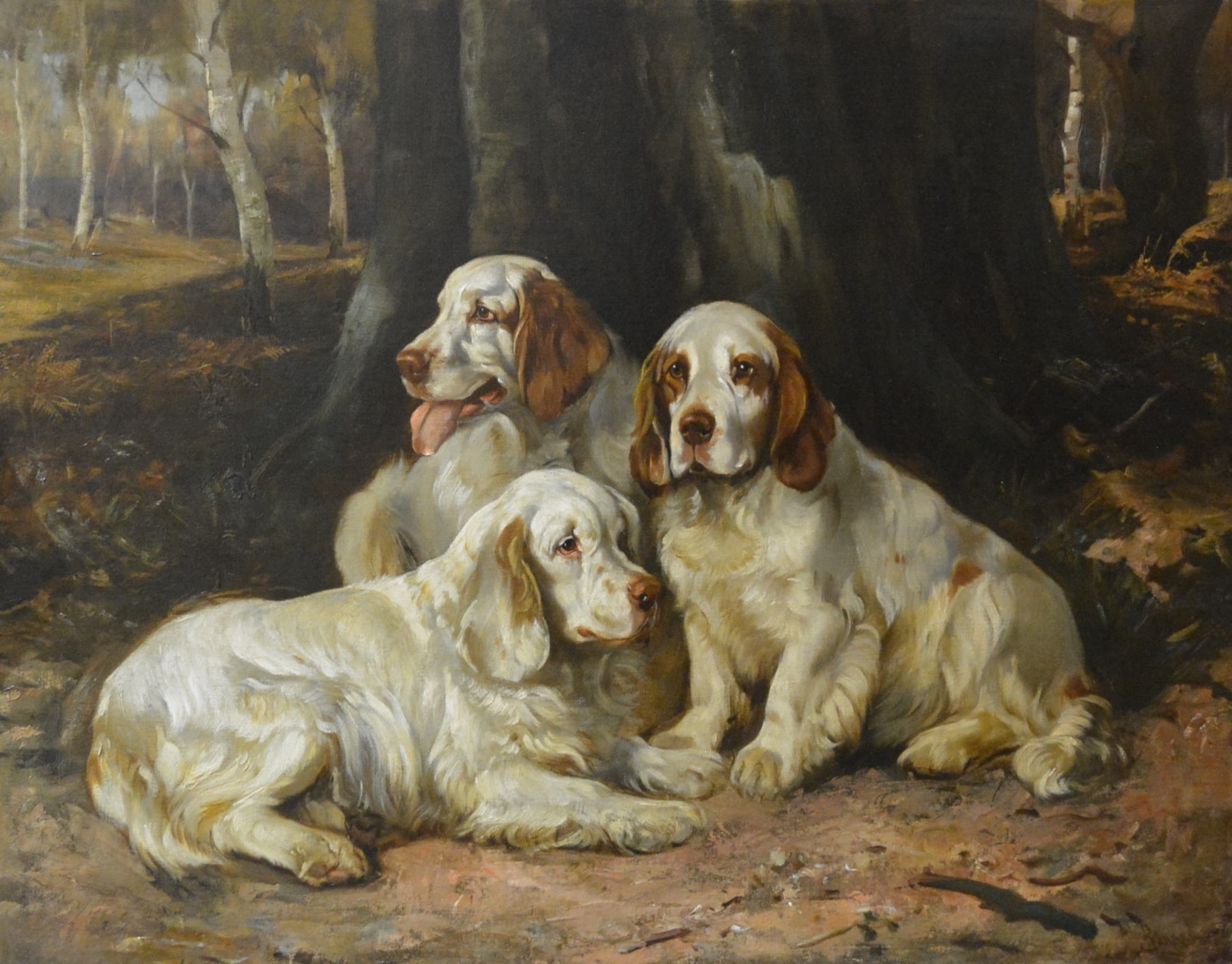 Click to see full size: Oil on canvas of Clumber Spaniels by Wright Barker RBA (English, 1864 - 1941)