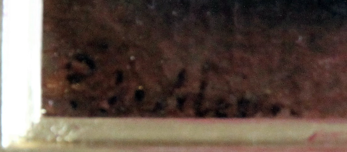 Click for larger image:  - 