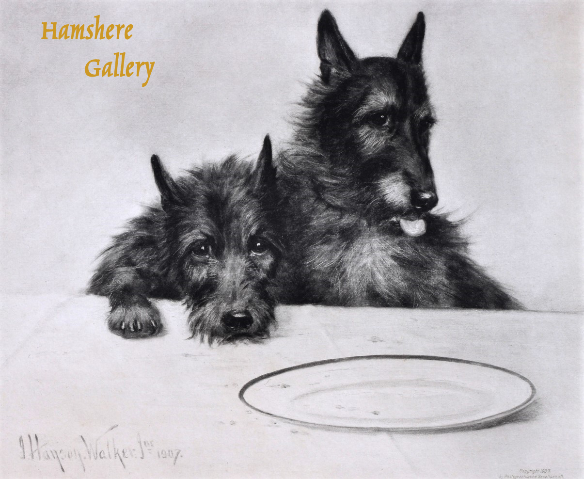 Click to see full size: Photogravure of Scottish Terrier dogs by John Hanson Walker Jnr