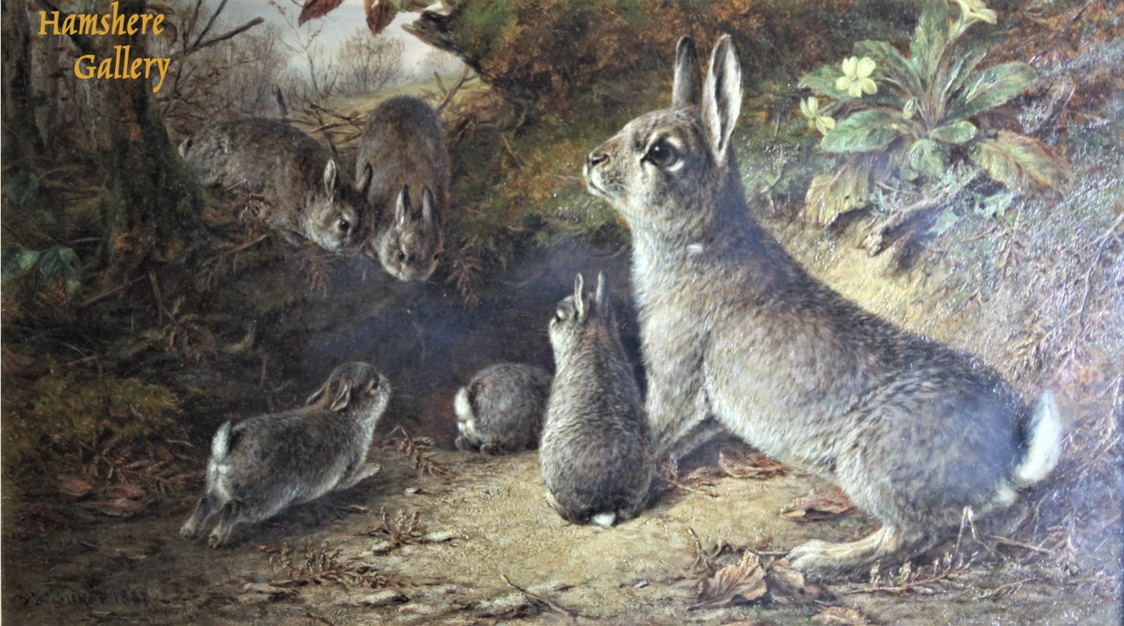 Click to see full size: Oil of a fluffle of rabbits in woodland setting by William Luker jnr., RBA