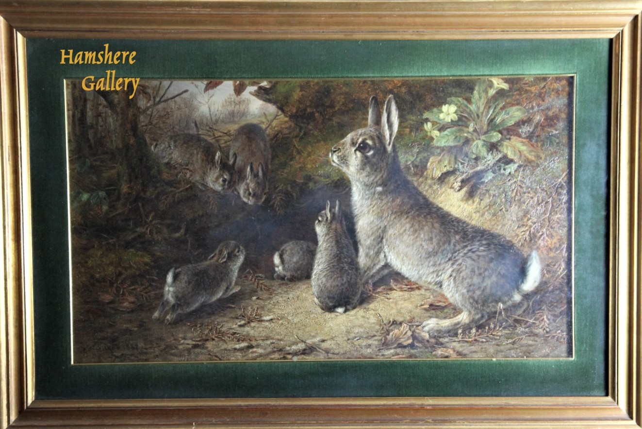 Click for larger image: Oil of a fluffle of rabbits in woodland setting by William Luker jnr., RBA - Oil of a fluffle of rabbits in woodland setting by William Luker jnr., RBA