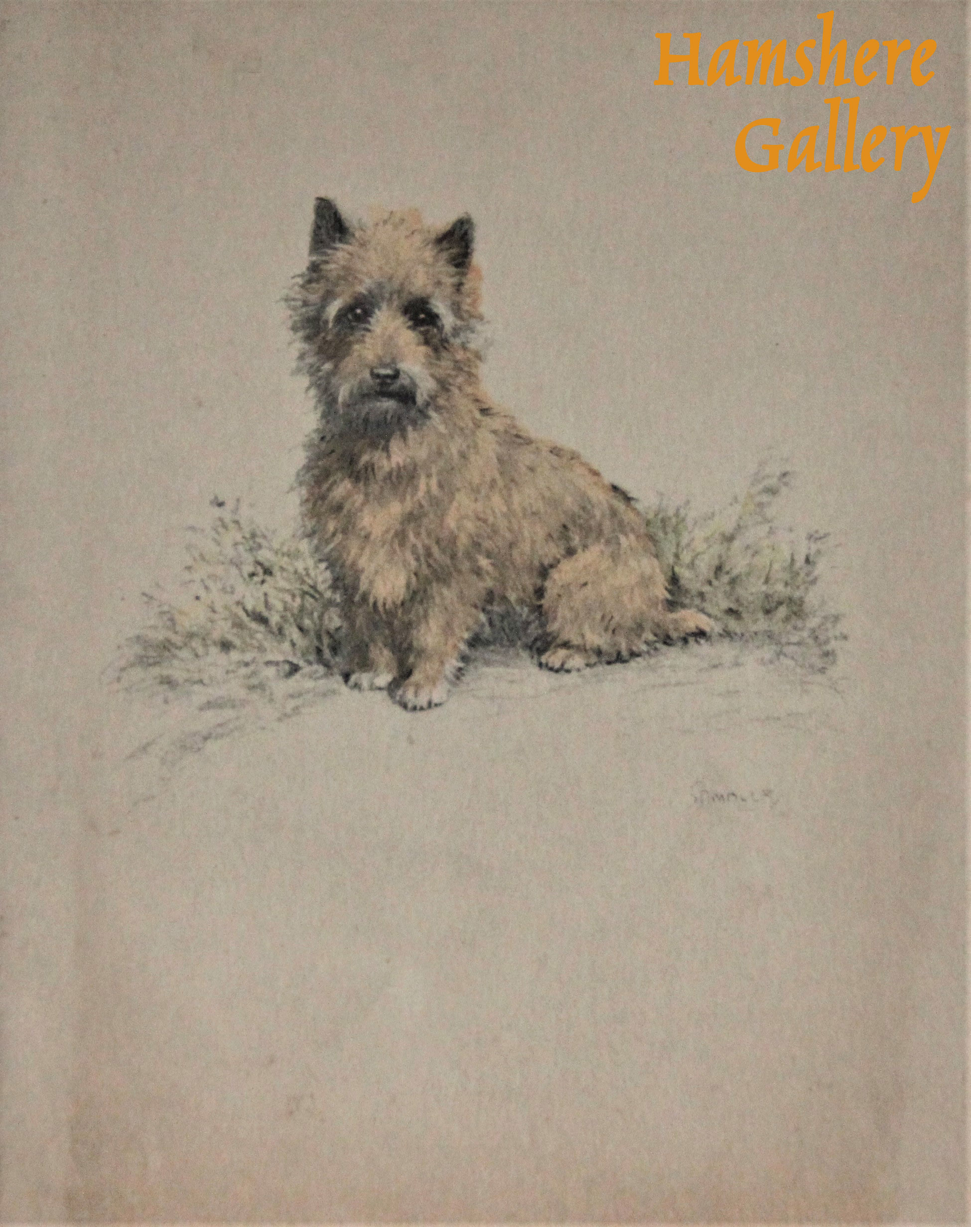 Click to see full size: A Cairn Terrier Christmas card design by Christopher Gifford Ambler (English, 1886-1965) for Eyre & Spottiswoode