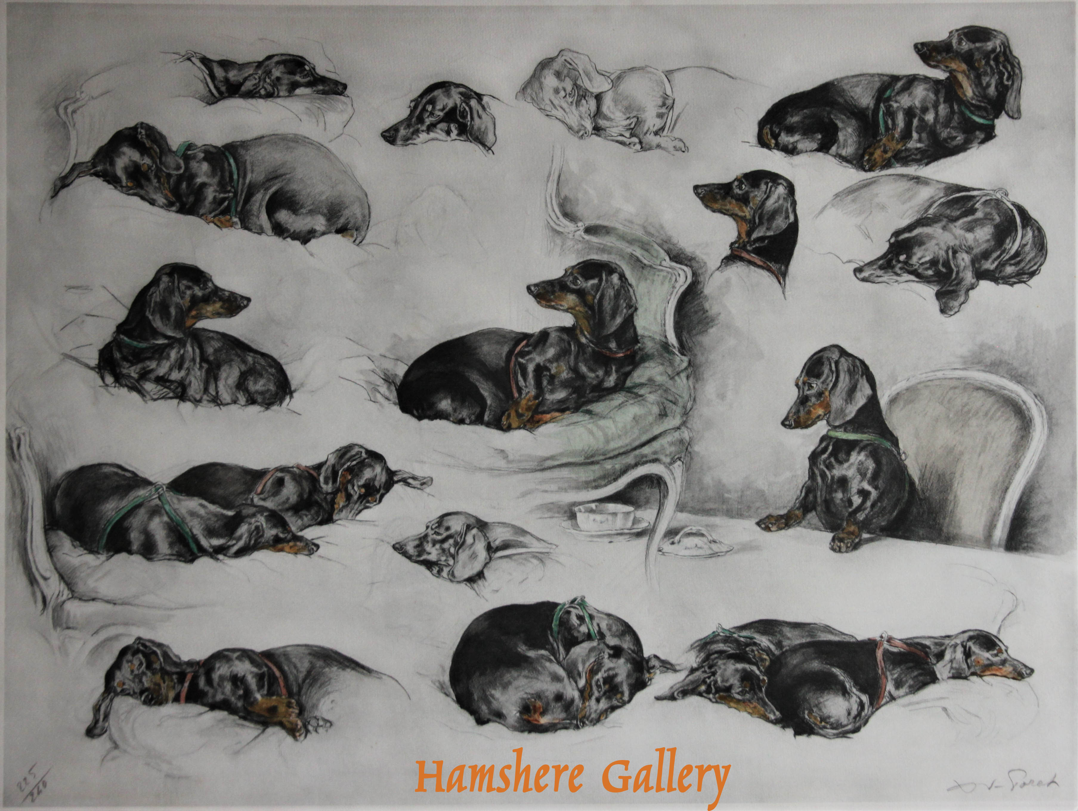 Click to see full size: â€œLes Teckelsâ€ / â€œBassets Allemandsâ€, lithograph of Dachshunds after Xavier de Poret (French, 1894 - 1975)
