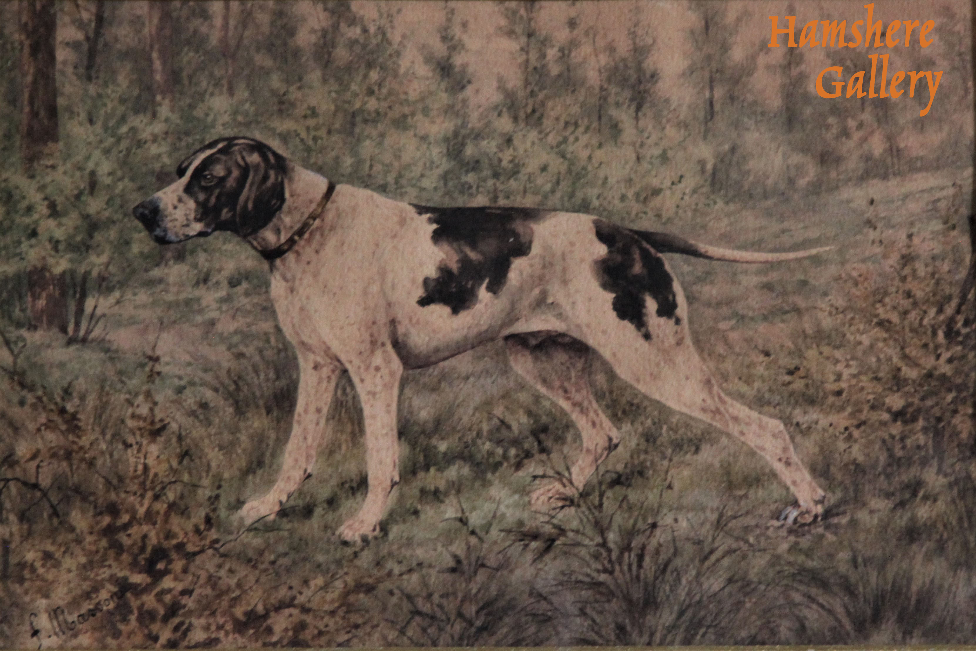 Click to see full size: A watercolour of an English Pointer by Frédéric Masson (French, XIX – XX)