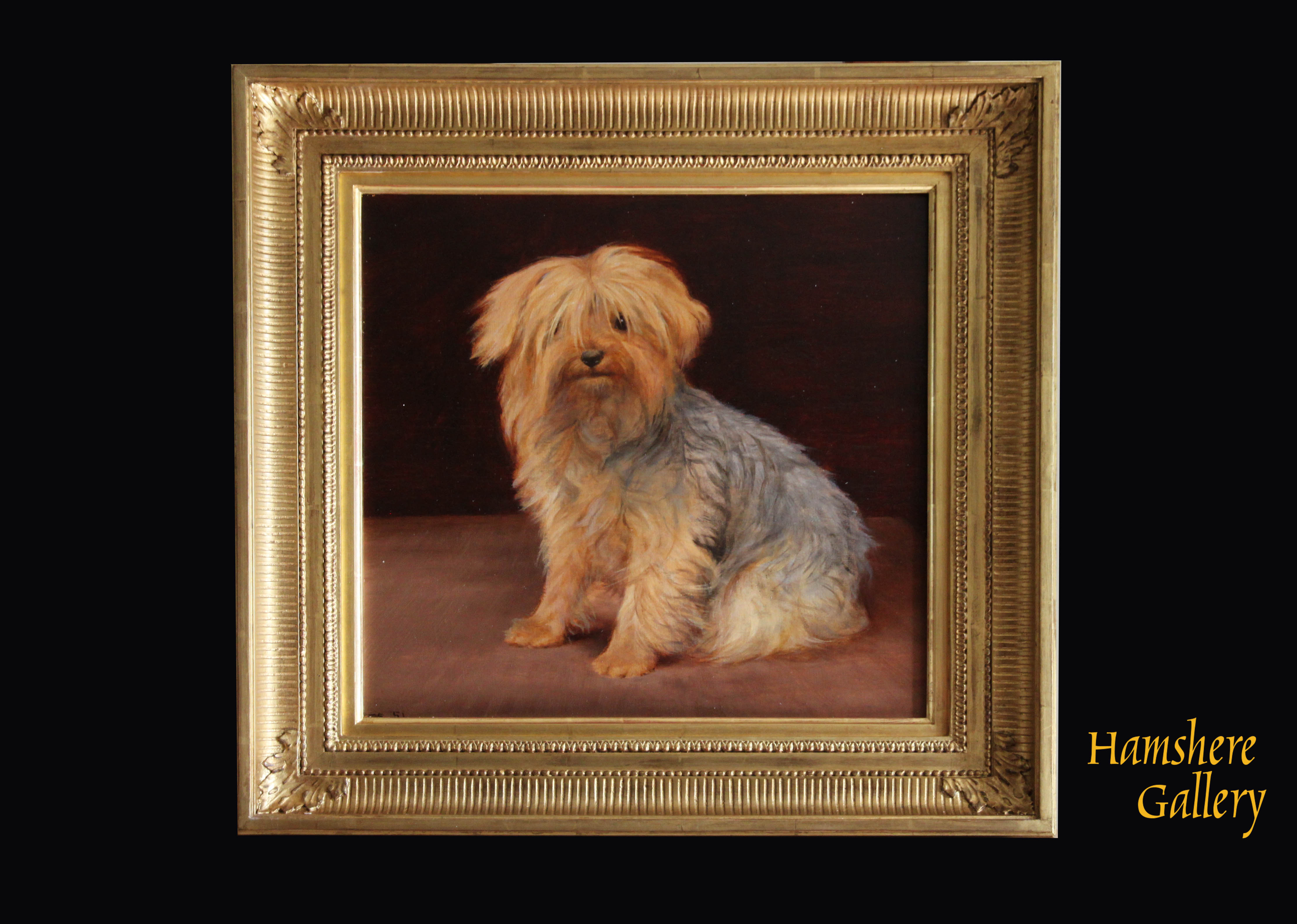 Click for larger image: Oil on panel of Yorkshire Terrier - Oil on panel of Yorkshire Terrier
