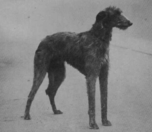 Click for larger image:  - 