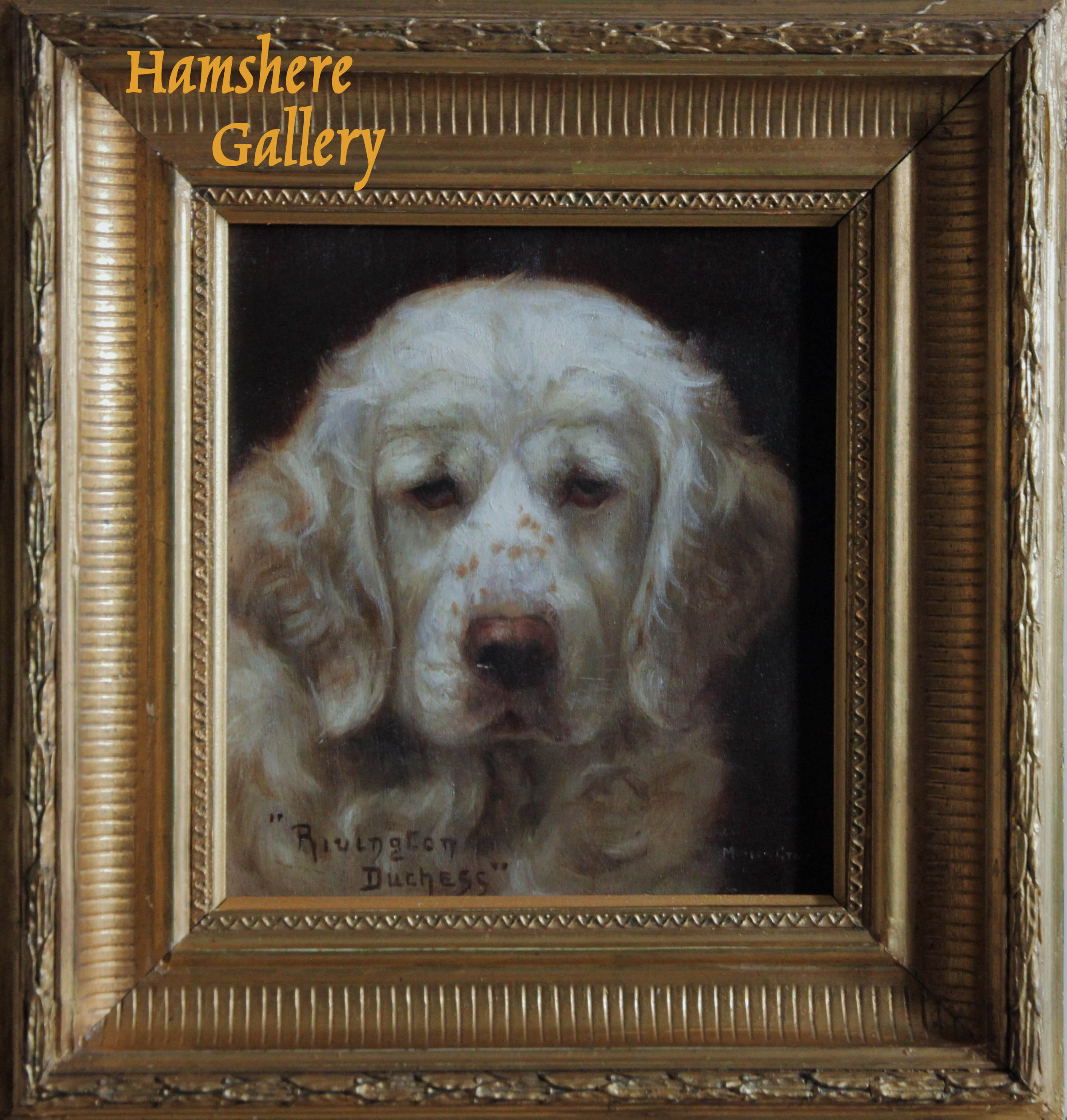 Click for larger image: Clumber Spaniel by Monica Gray (exh 1903-1919) - Clumber Spaniel by Monica Gray (exh 1903-1919)
