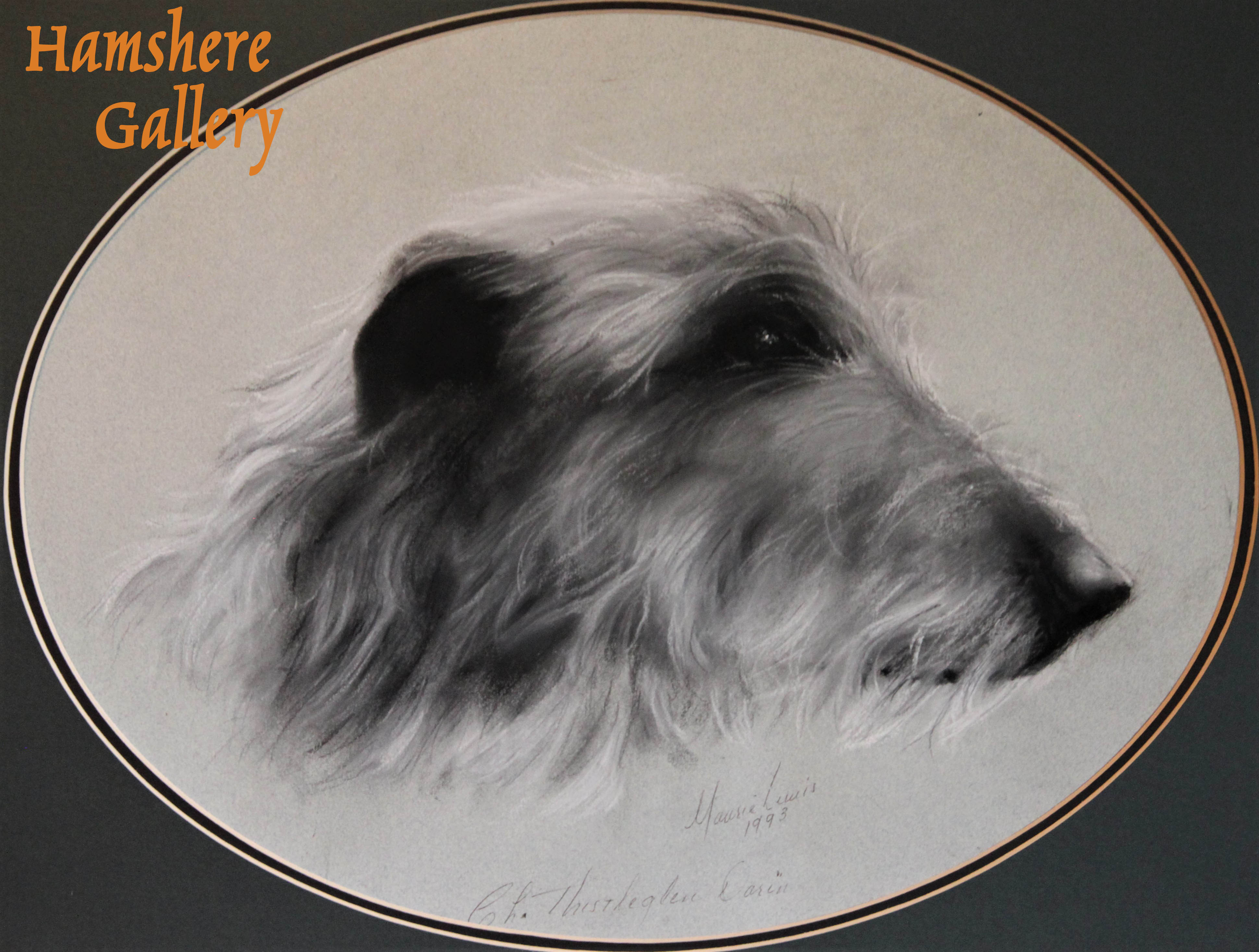 Click to see full size: “Champion Thistleglen Darin”, Scottish Deerhound pastel by Maurie Lewis
